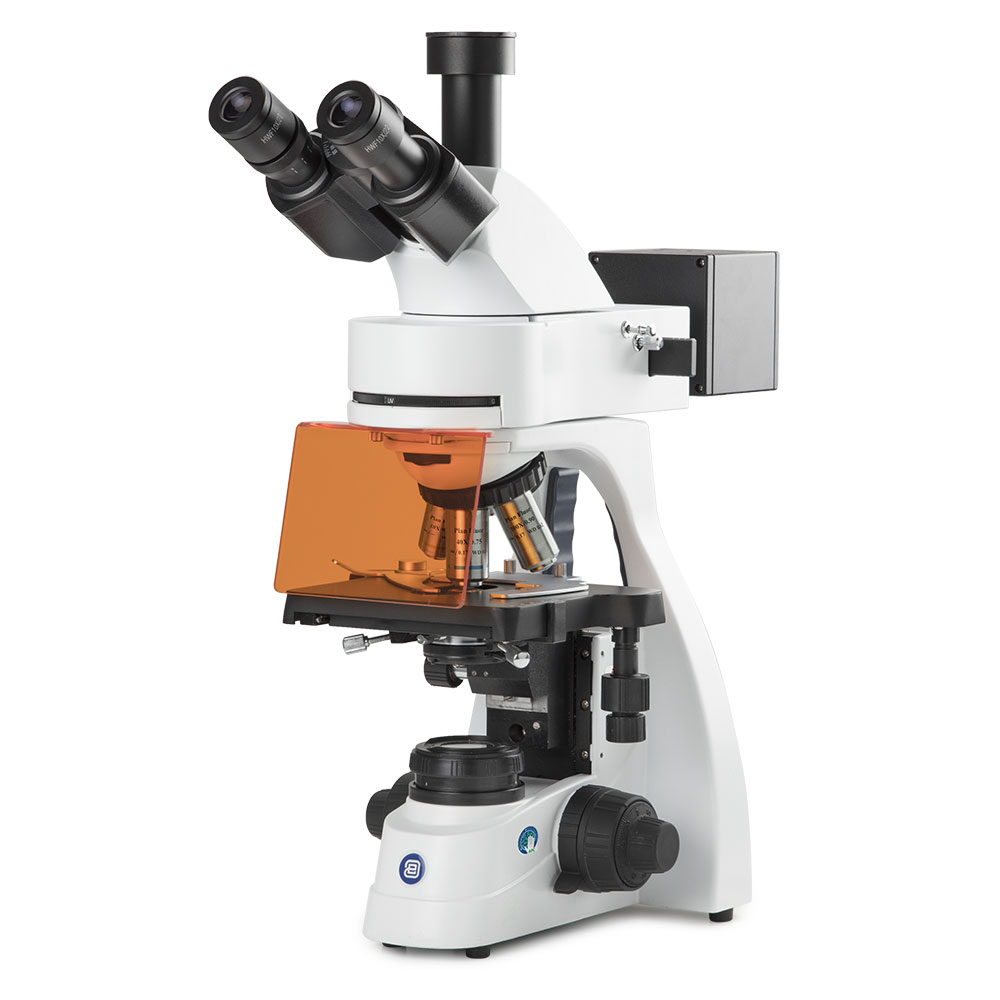 Globe Scientific bScope trinocular microscope for LED fluorescence, HWF 10x/22mm eyepieces and quintuple nosepiece with Plan Fluarex PLFI 4/10/S40/S100x oil infinity corrected objectives, 131 x 152/197mm stage with integrated mechanical 75 x 36mm rackless X-Y stage.3W NeoLED™ Köhler illumination and integrated power supply. Fluorescence attachment with 4 LEDs for B, G, V and UV excitation, 4 filter sets. Supplied without rechargeable batteries Microscope;Trinocular;mechanical stage;HWF;PLFi